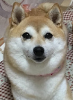 �����΃s�[�����