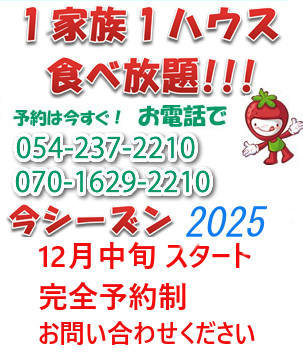 いちご狩りのマルヨシ農園・ワンちゃんもOK・静岡市久能山